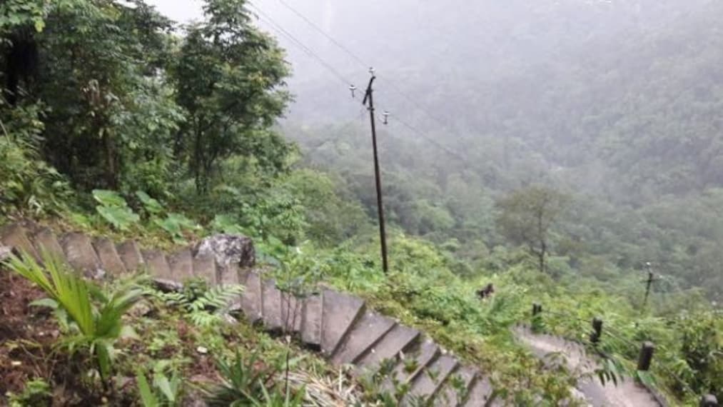 Double Decker Living Root Bridges-4